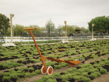 paperpot transplanter from paperpot co