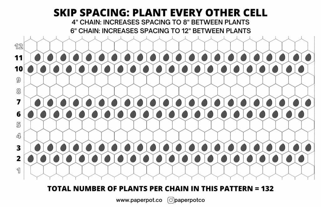 planting every other cell paper chain pot