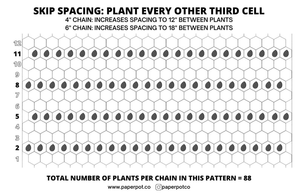 planting every third cell paper chain pots