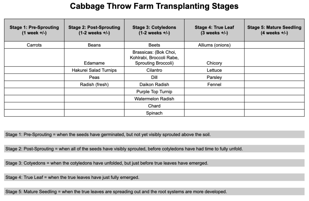 cabbage throw farm paperpot planting chart